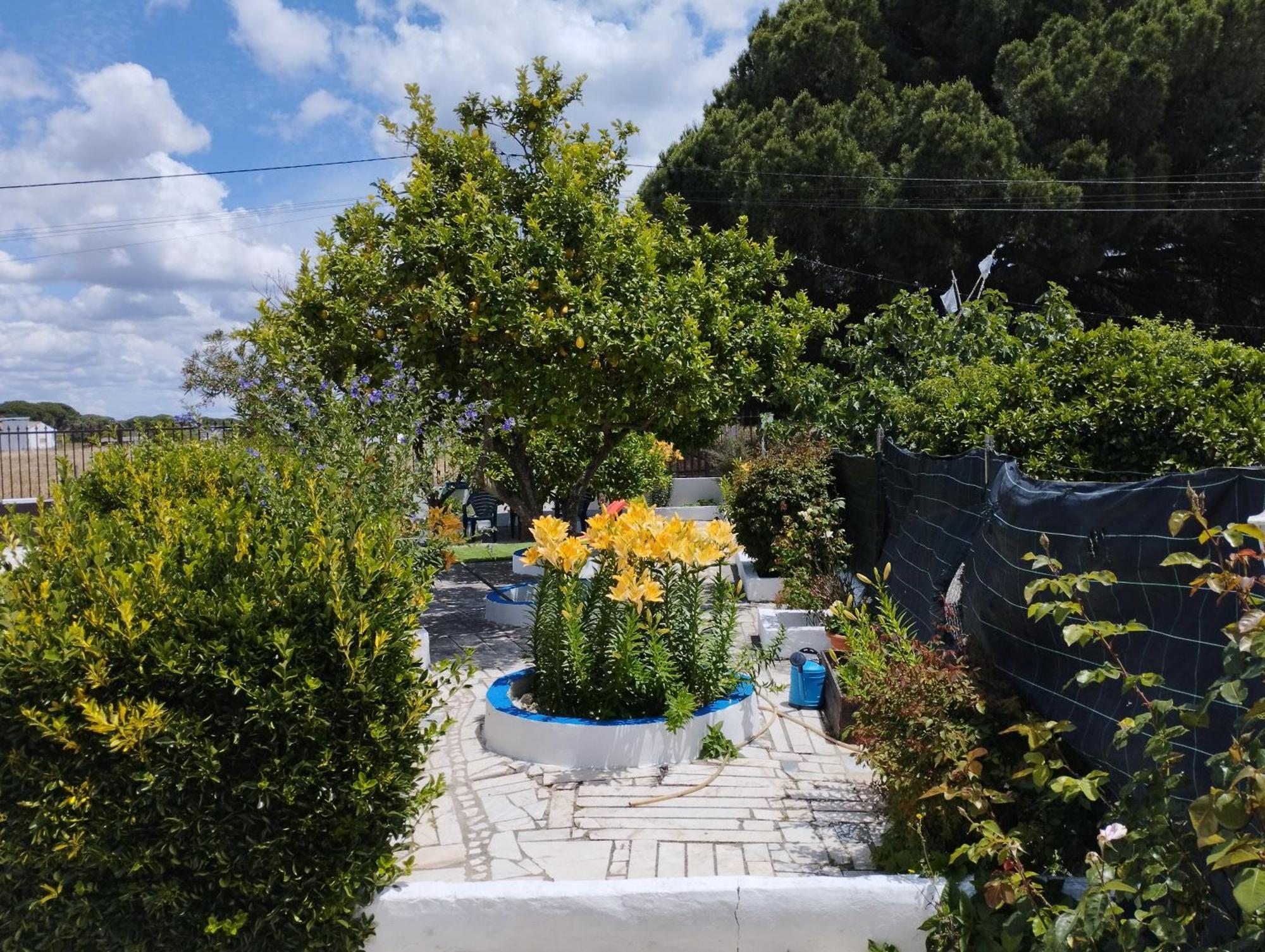 Monte Sol Nascente Villa แกรนโดลา ภายนอก รูปภาพ